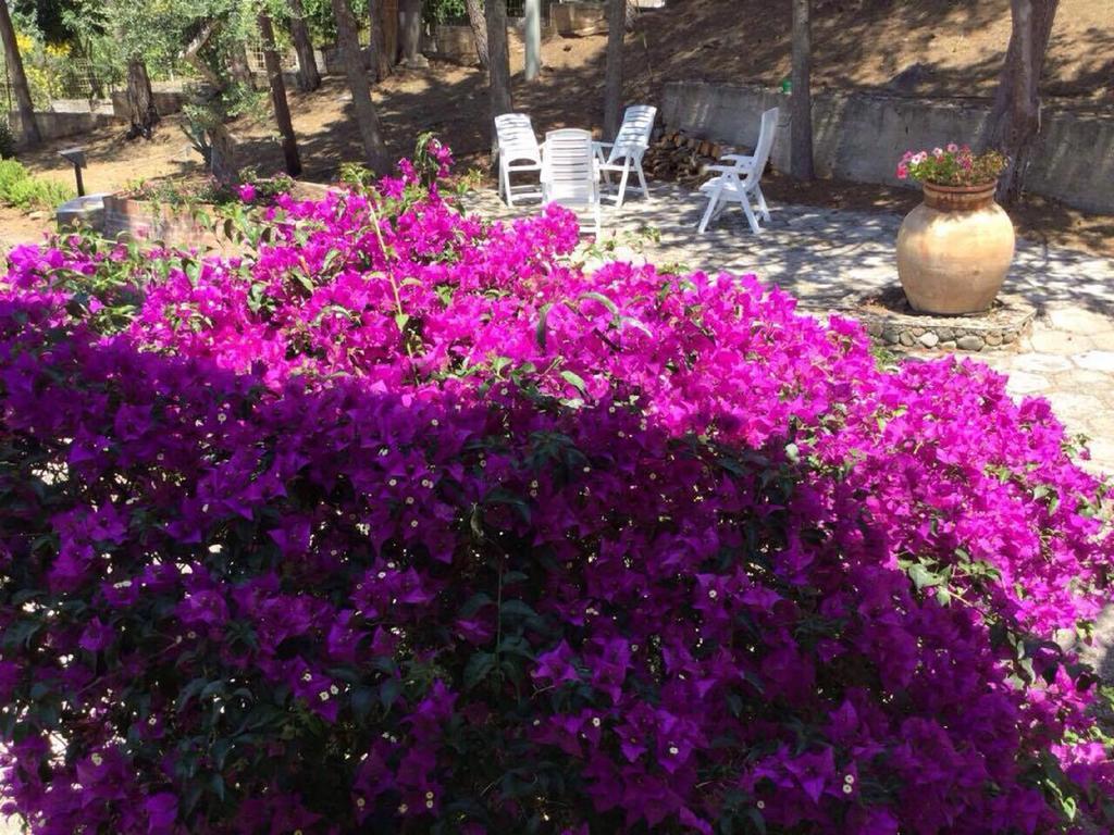 Villa Bouganvilla チェファル エクステリア 写真